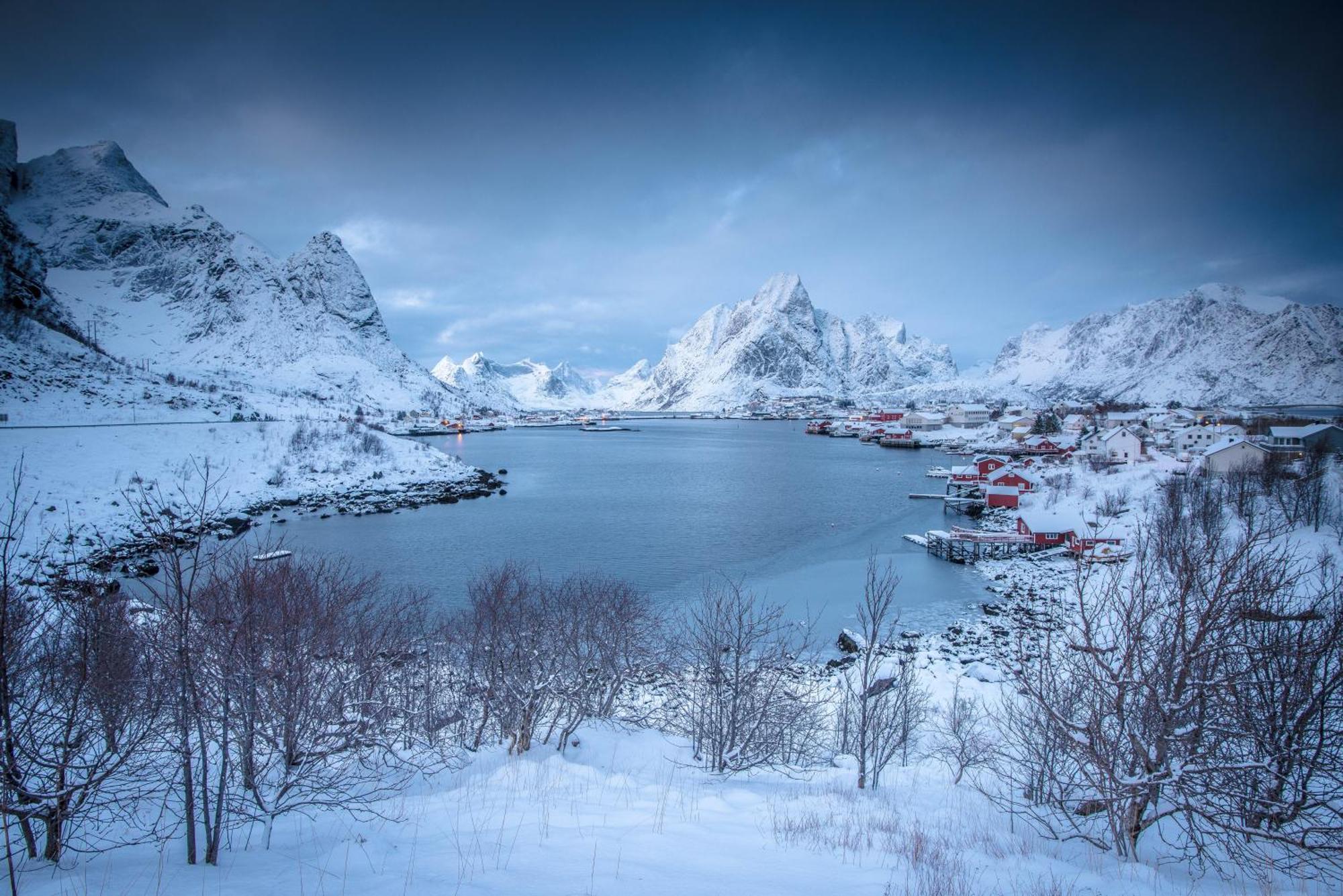 Lofoten Green Studio Ramberg Zewnętrze zdjęcie